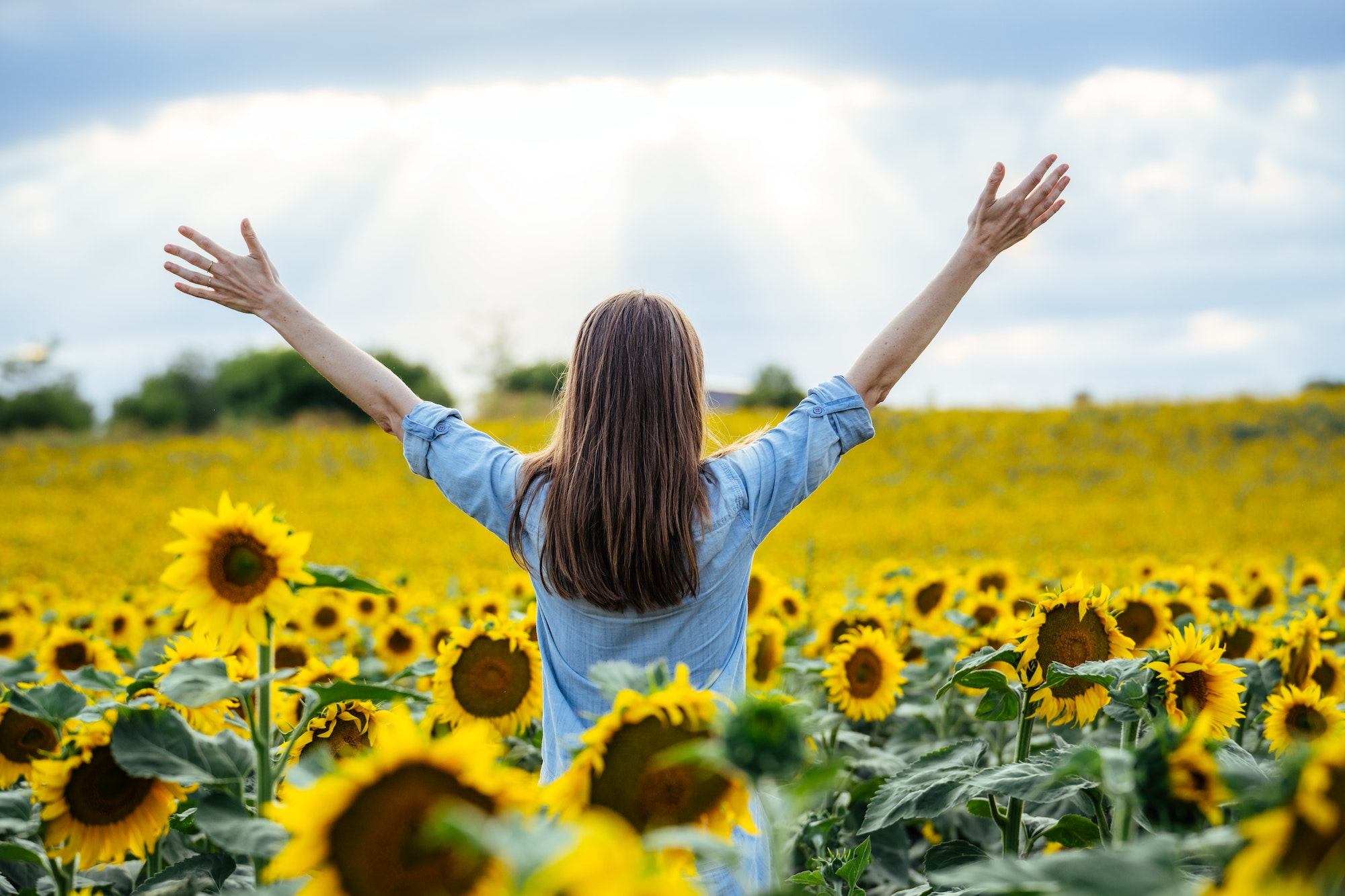 A woman enjoying freedom in a sunny sunflower field
